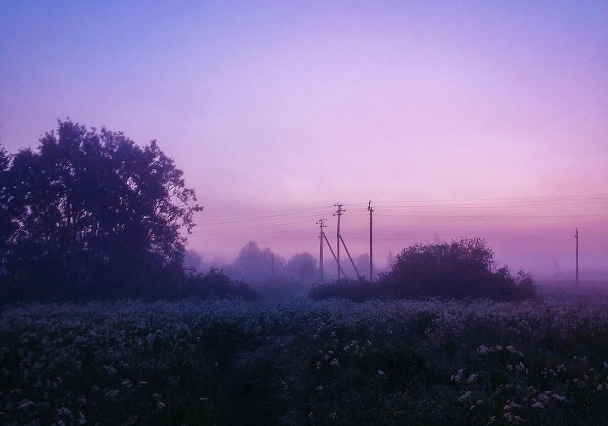 别被表面骗了：蘑菇视频的情绪失控其实有那句没说出口的话