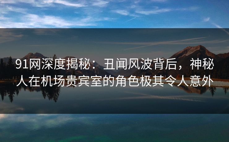 91网深度揭秘：丑闻风波背后，神秘人在机场贵宾室的角色极其令人意外